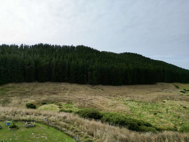 Boundary Creek Road Oamaru_3