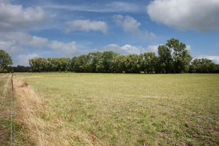 1099 State Highway 23 Whatawhata_18