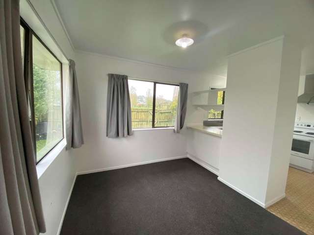 420A Ngatai Road Otumoetai_3