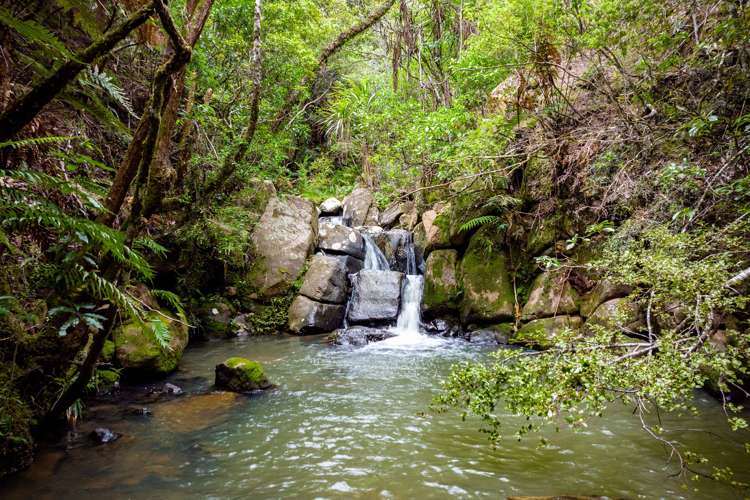 6754 State Highway 12 Waimamaku_18