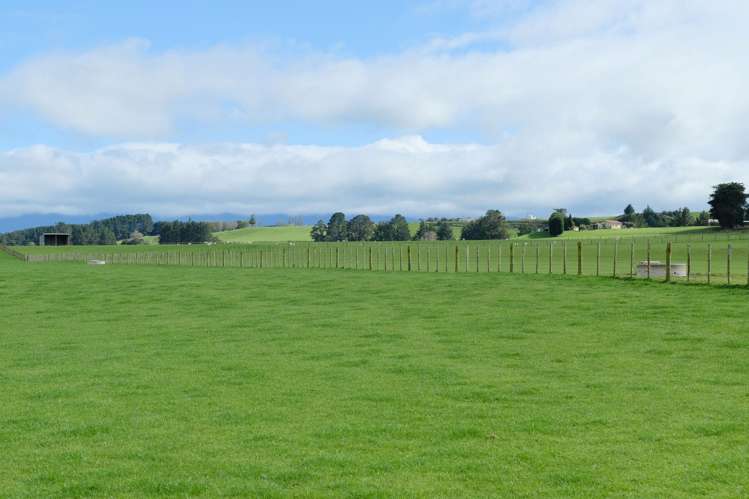 63 Hamilton Road Dannevirke_28
