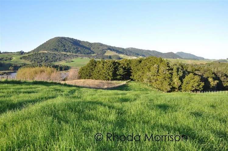 125 Jumna Road Maungaturoto_27