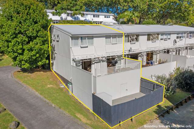 127 Howe Street Freemans Bay_3