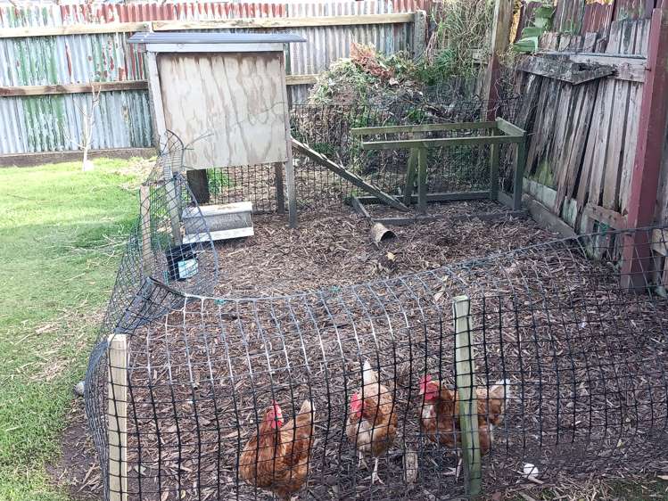 102 Peel Street Westport_18