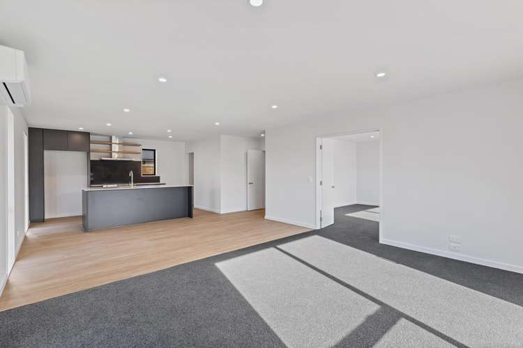 58d Ashbury Drive Tinwald_6