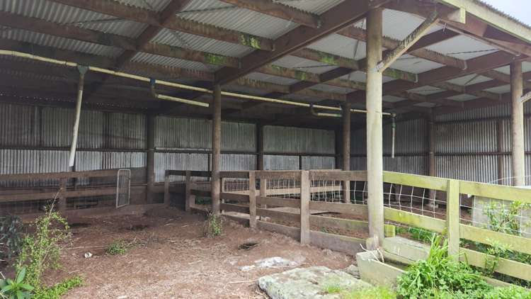 953 Upland Road Egmont Village_25