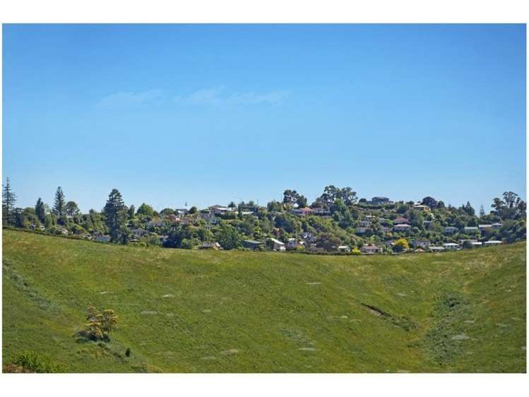 24 Matipo Terrace Toi Toi_21