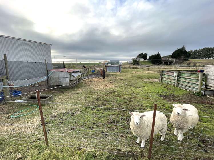 1 Allan Street Clinton and Surrounds_25