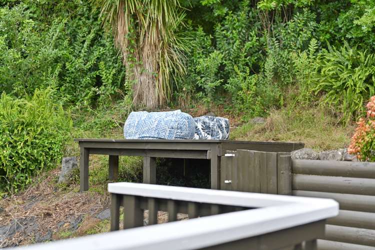 36 Carew Street Nawton_14