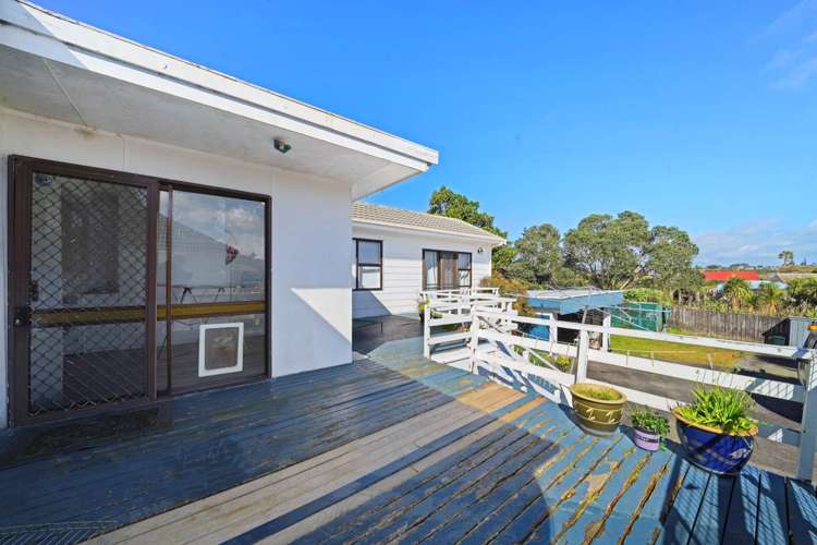 2 Triton Avenue Mount Albert_19