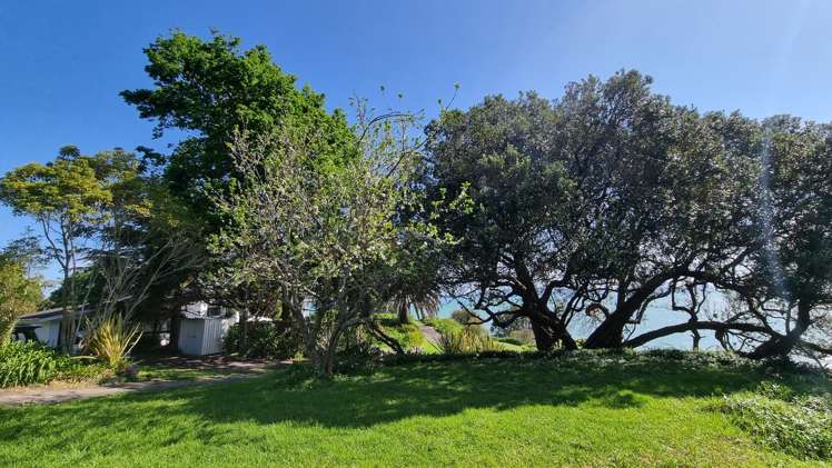 858a Thames Coast Road Te Mata_21