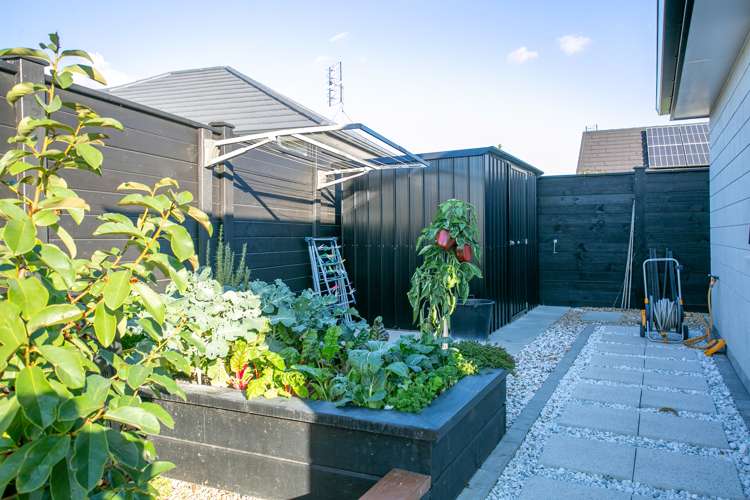 3 Webber Street Cambridge_25