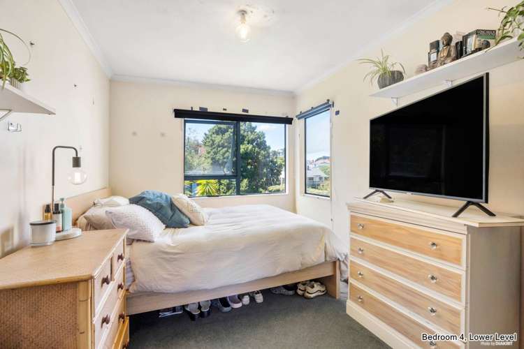 24a Hoskins Avenue Hillsborough_18