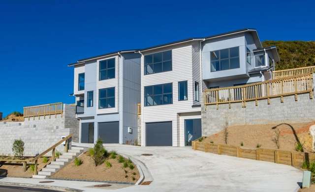 9 Comber Place Johnsonville_1