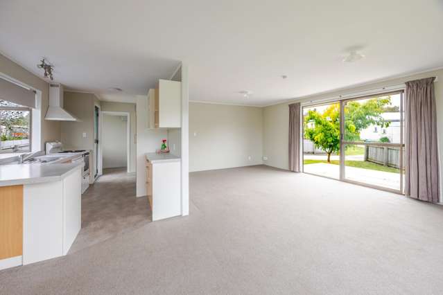 3A Collins Street Waipawa_3