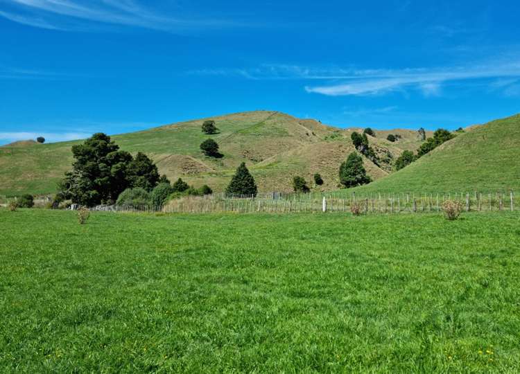 3779 Whanganui River Road (State Highway 43) Ruapehu-King Country Surrounds_6