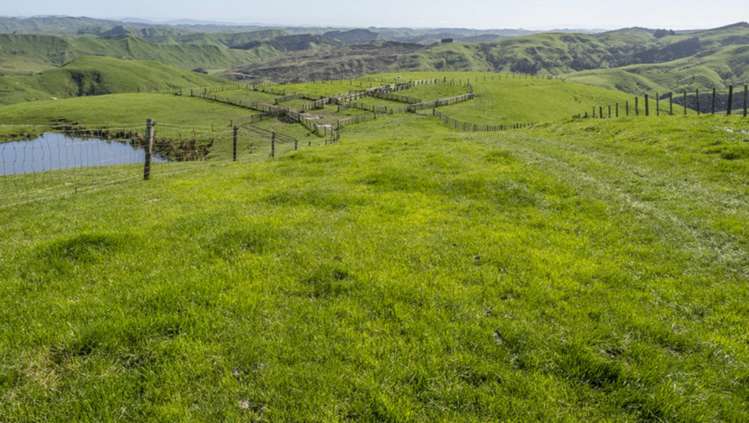 419 Daggs Road Bideford_15