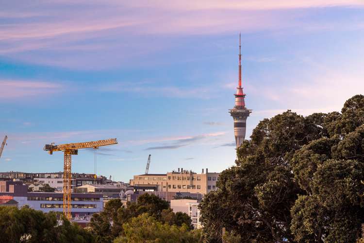 12/44 Esplanade Road Mount Eden_26