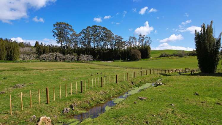 Lot Lot 2 Marshall Road Pakaraka_7