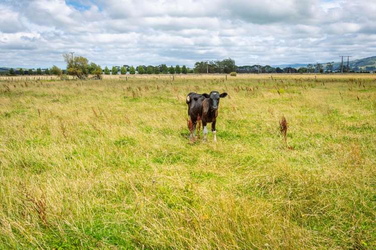 Broomfield Road Woodville_11