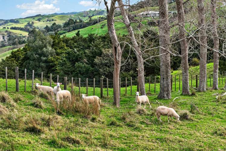 63 Porter Road Paparoa_37