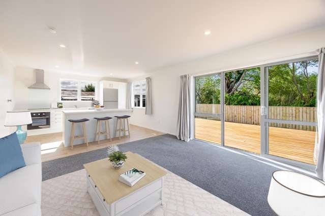 12a Holyrood Terrace Waipukurau_1