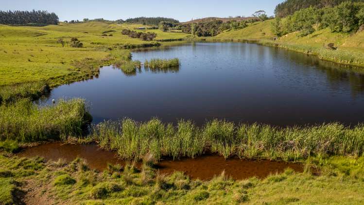 Lot 2 Kerikeri Inlet Road Kerikeri_12