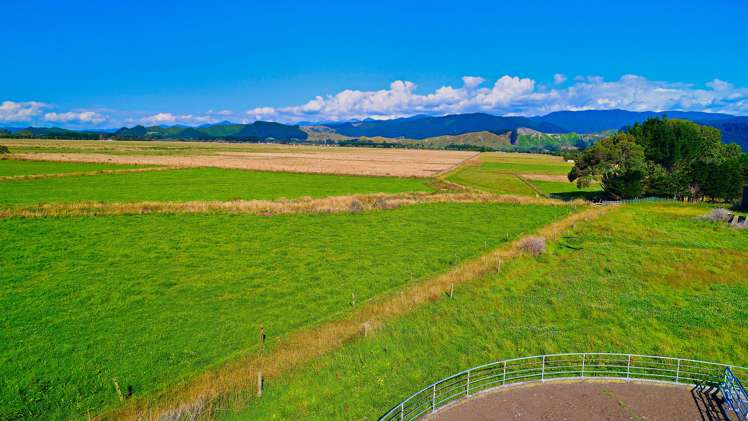 134 Waikawa Beach Road Manakau_3