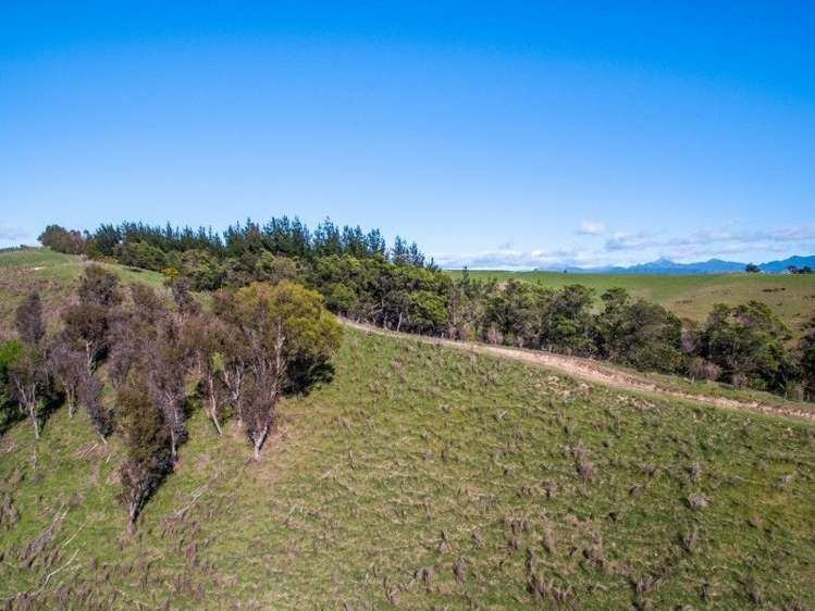 264 Hawkesbury Road Hawkesbury_7