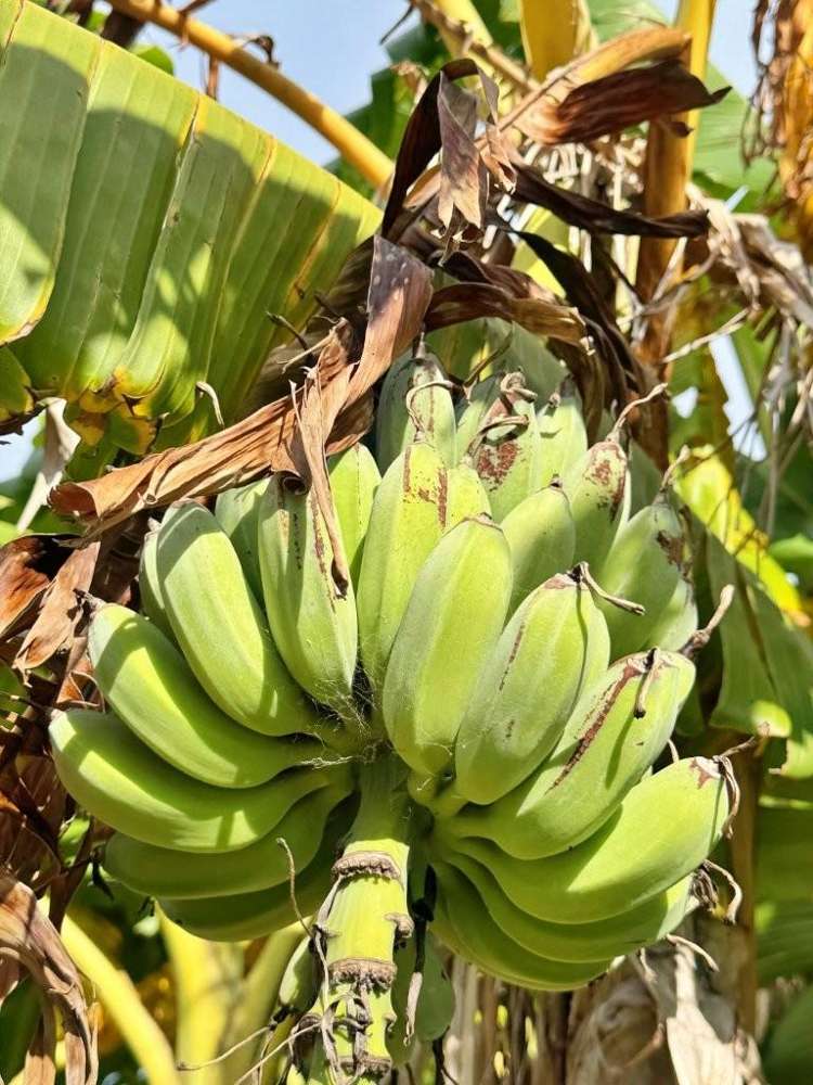 22 Houhora Heads Road Pukenui_49