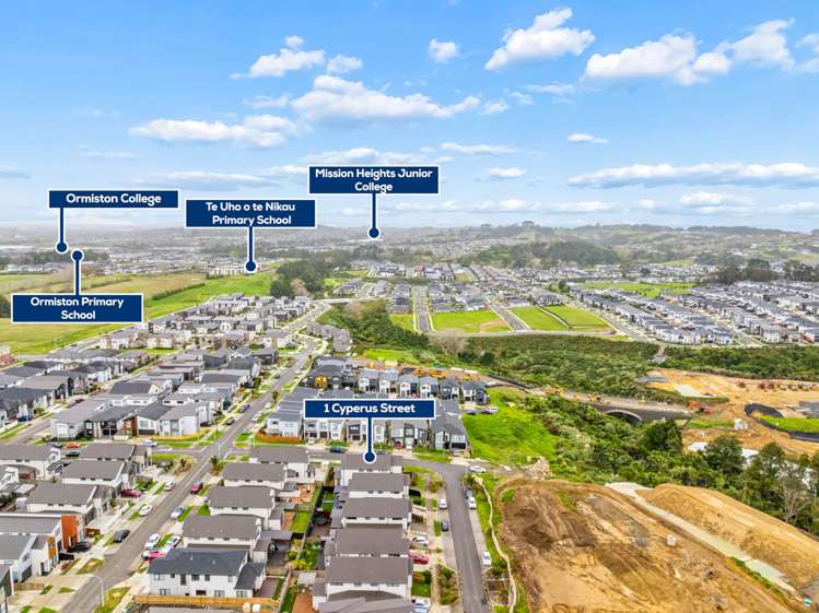 1 Cyperus Street Flat Bush_27