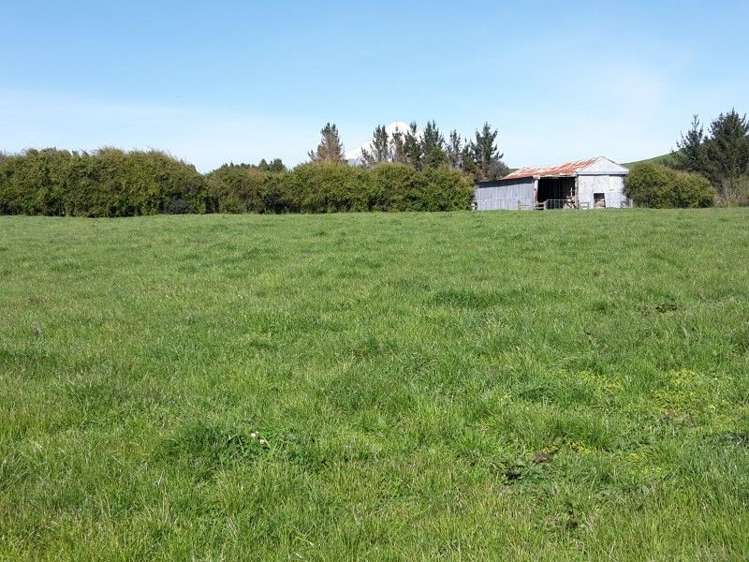 346 Rugby Road Tariki_88