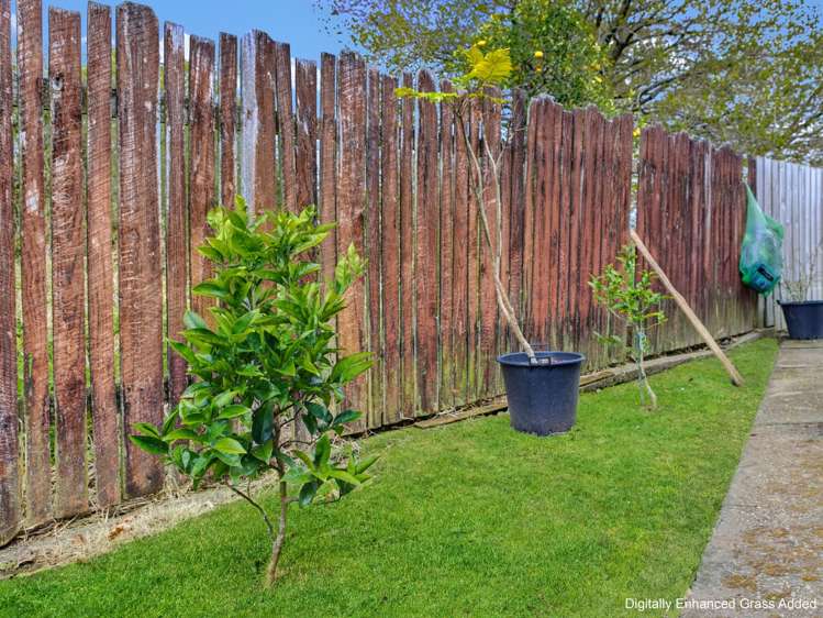 5/2 North Rd Kawakawa_13