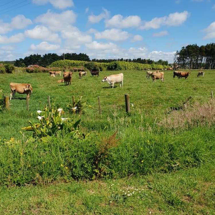 69 Hoods Landing Road Otaua_18