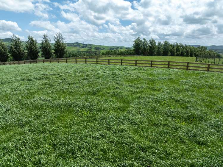 117 Manion Lane Morrinsville_13