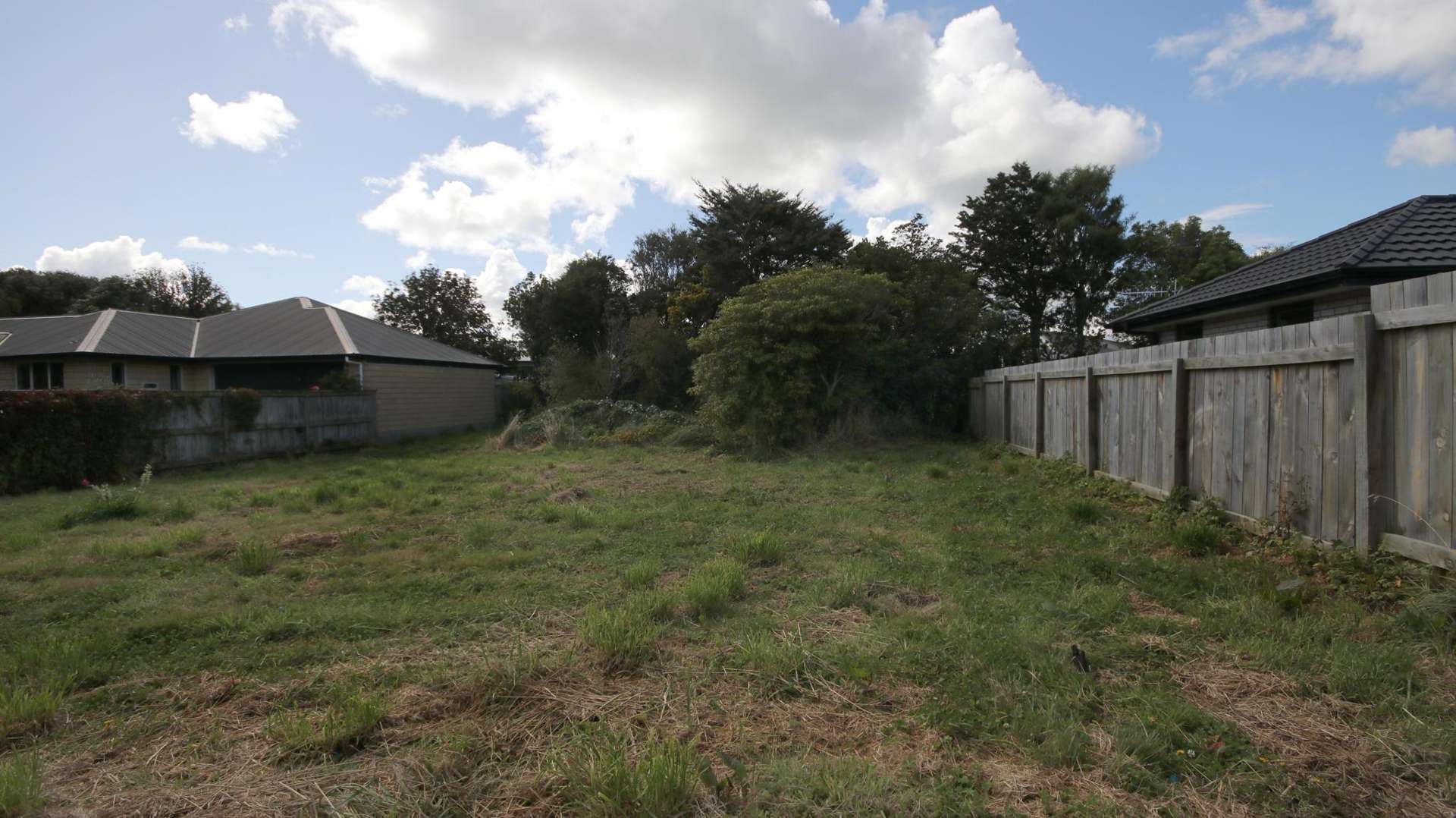 61A Ward Street Waverley_0