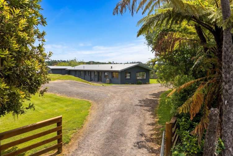79 Jensen Road Omanawa_3
