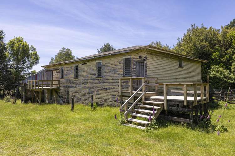 1707 Te Matai Road Te Puke_18