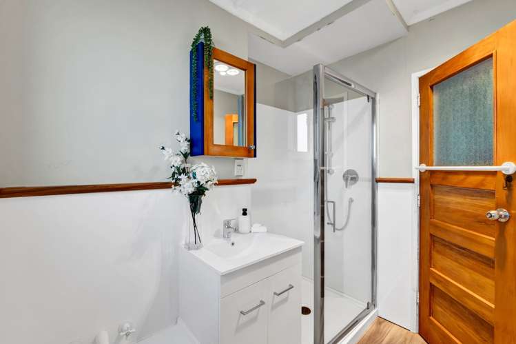 18 Drake Street Vogeltown_22