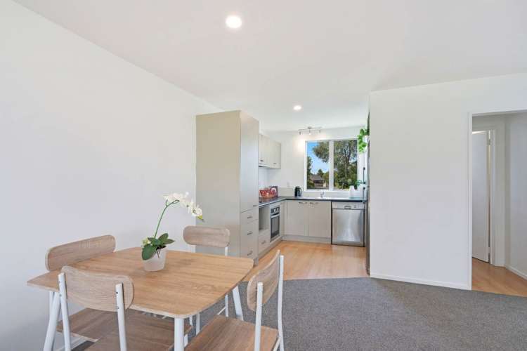 8 Albionvale Road Glen Eden_6