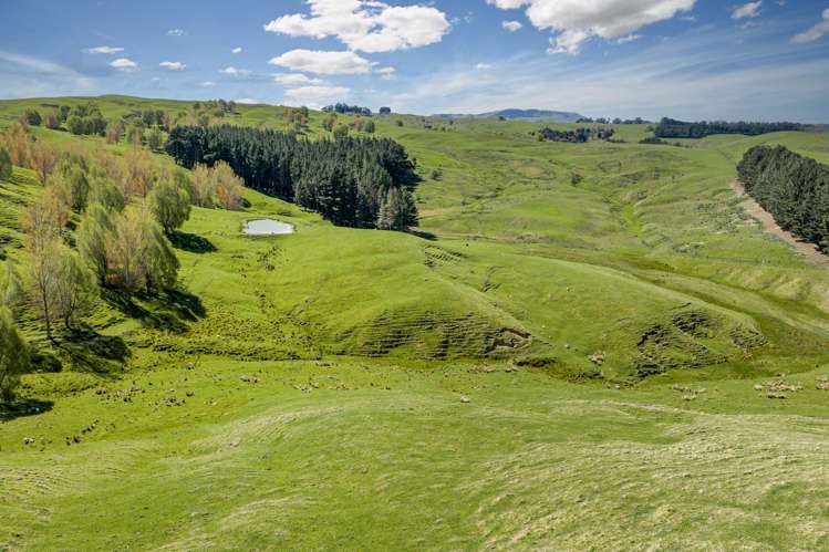 683 Bush Road Wallingford_32