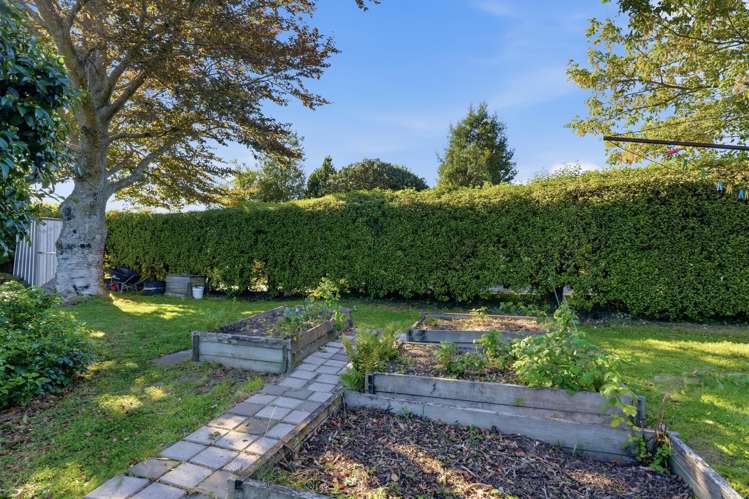 365 Centaurus Road Hillsborough_33