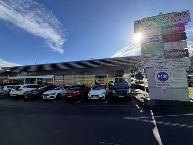 5 Captain Scott Road Glen Eden_1