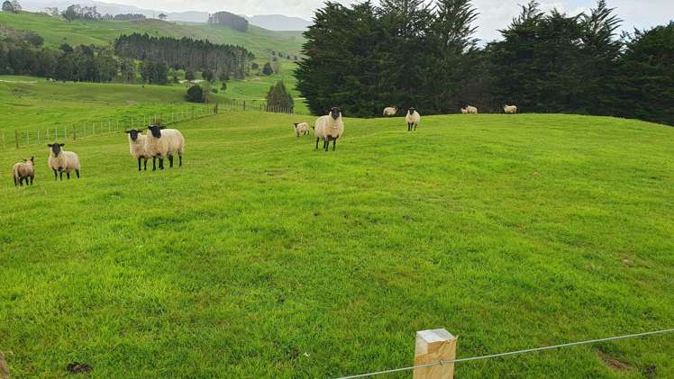 4 Kendall Road Maungakaramea_18