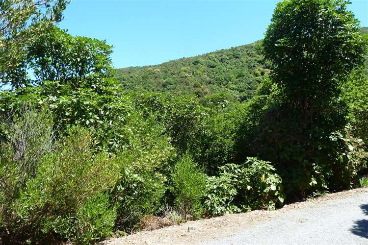 33 Marina Drive Waikawa_7