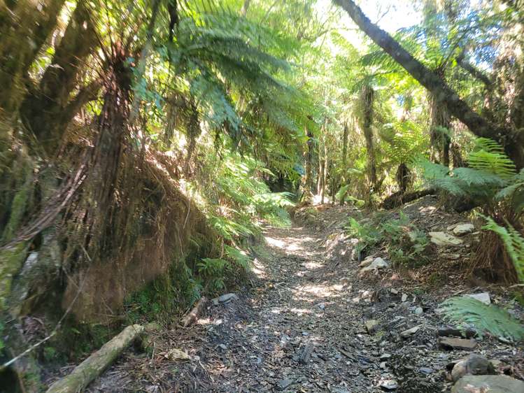 254 Doughboy Road Kokatahi_49