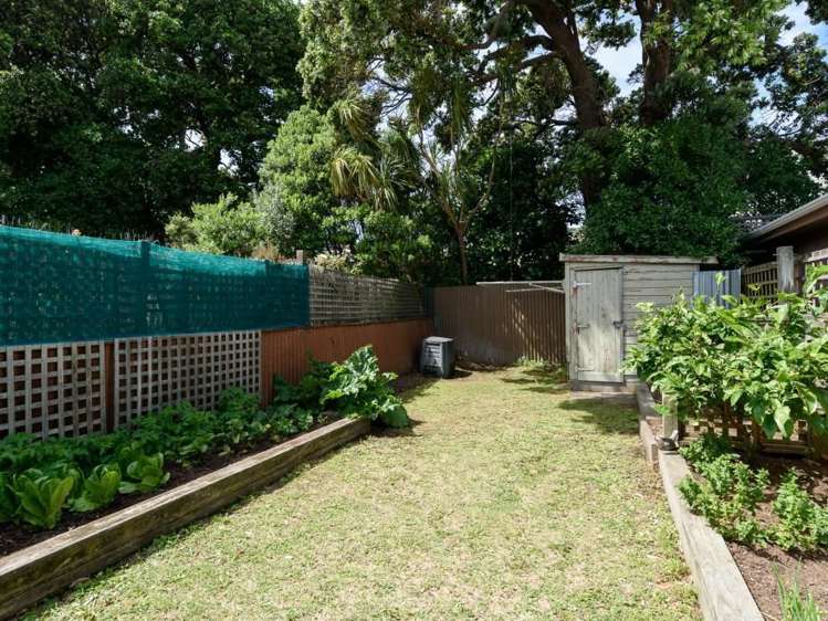 26 Roy Street Newtown_10