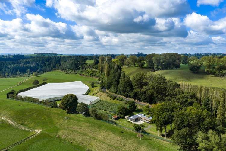 1151 Oreipunga Road Maungatautari_4