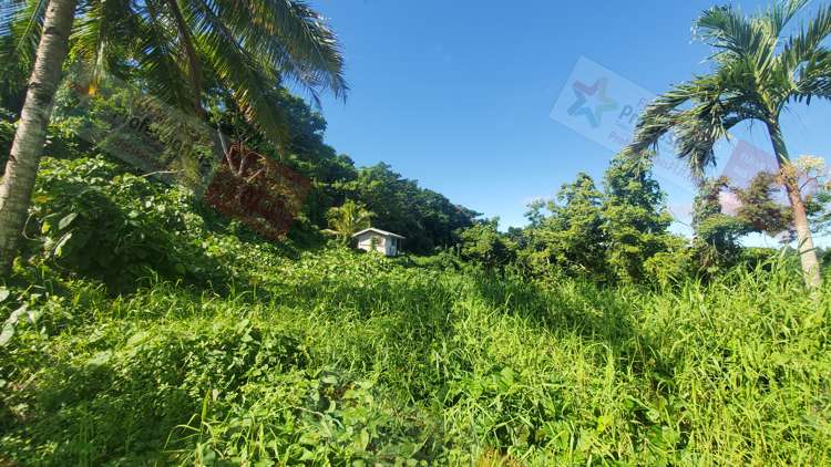 Address withheld Savusavu_10