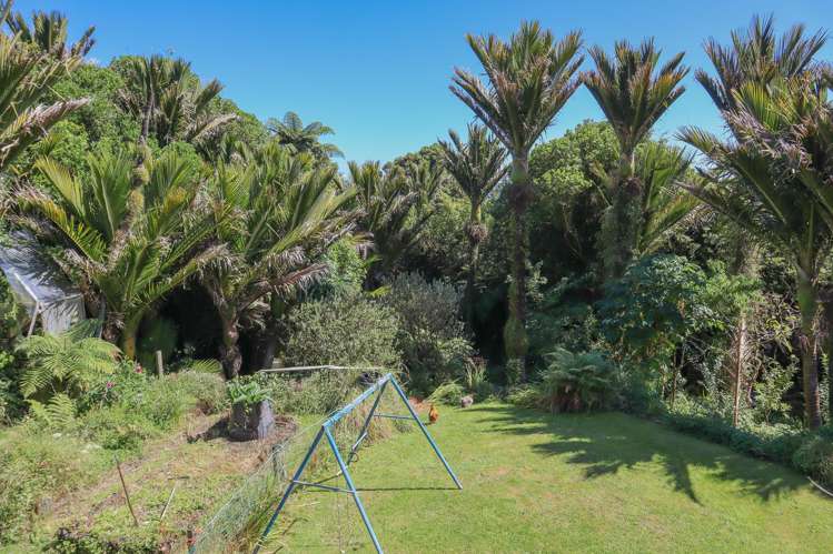 4629 State Highway 6 Te Miko_16